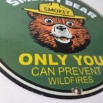 Vintage Forest Service Sign – Smokey the Bear Porcelain Gas Pump Sign - Image 11