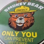 Vintage Forest Service Sign – Smokey the Bear Porcelain Gas Pump Sign - Image 4