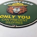 Vintage Forest Service Sign – Smokey the Bear Porcelain Gas Pump Sign - Image 10