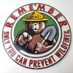 Vintage Smokey Bear Porcelain Sign – Only You Can Prevent Wildfires Sign - Image 15