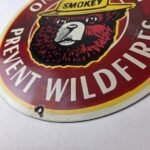 Vintage Smokey Bear Sign – Prevent Wildfires Prevention Porcelain Gas Park Sign - Image 14