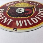 Vintage Smokey Bear Sign – Prevent Wildfires Prevention Porcelain Gas Park Sign - Image 10